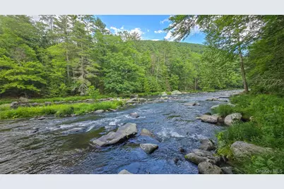 225 Hatchery Road, Forestburgh, NY 12777 - Photo 30