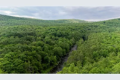 225 Hatchery Road, Forestburgh, NY 12777 - Photo 28