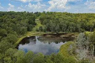 689 Church Rd, Mountain Dale, NY 12763 - Photo 4