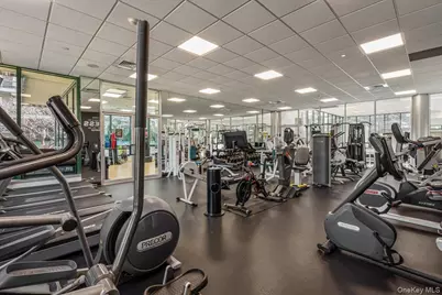 100 Hilton Avenue #417, Garden City, NY 11530 - Photo 28