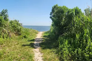 190 Pine Neck Ave, Patchogue, NY 11772 - Photo 20
