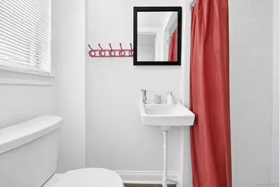 907 E 46th Street, Brooklyn, NY 11203 - Photo 18