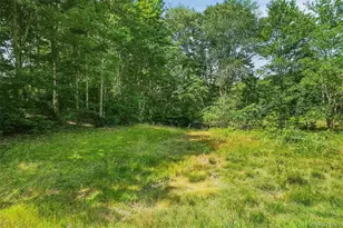 148 Quannacut Rd, Pine Bush, NY 12566 - Photo 28