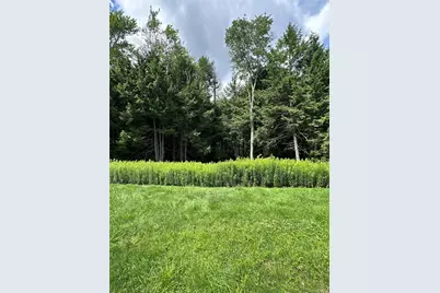 384 Lenape Lake Road, Livingston Manor, NY 12758 - Photo 2