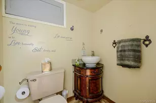 46 Schumacher Dr, New Hyde Park, NY 11040 - Photo 14