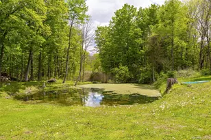 175 Nevis Rd, Tivoli, NY 12583 - Photo 20