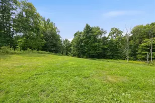 977 Mt Hope Rd, Middletown, NY 10940 - Photo 46