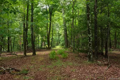 3789 State Route 52, Pine Bush, NY 12566 - Photo 8