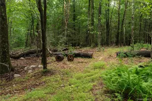 3789 State Route 52, Pine Bush, NY 12566 - Photo 14