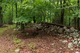 3789 State Route 52, Pine Bush, NY 12566 - Photo 16