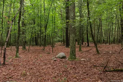3789 State Route 52, Pine Bush, NY 12566 - Photo 12