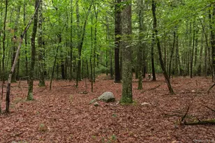 3789 State Route 52, Pine Bush, NY 12566 - Photo 12
