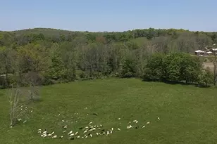 65 Juliet Dr, Warwick, NY 10990 - Photo 24