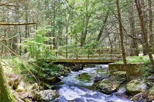 488 Black Forest Rd, Glen Spey, NY 12737 - Photo 24