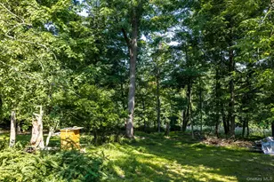 4850 Mountain Ave, Middletown, NY 10940 - Photo 48