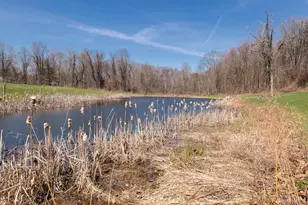 394 Smith Rd, Hyde Park, NY 12538 - Photo 38