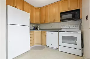 256 N Beech St, Massapequa, NY 11758 - Photo 10