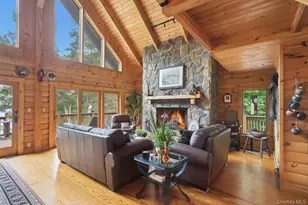 43 Goldring Dr, Highland Lake, NY 12743 - Photo 12