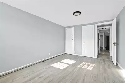252 E 45th Street, Brooklyn, NY 11203 - Photo 26