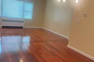 278 N 4th St, Bethpage, NY 11714 - Photo 4