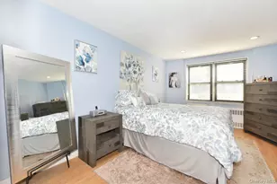 2 Birchwood Ct, Mineola, NY 11501 - Photo 10