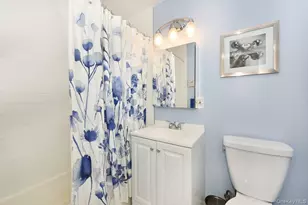 2 Birchwood Ct, Mineola, NY 11501 - Photo 12
