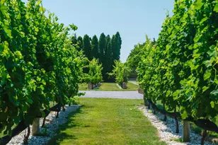 1810 Main Rd, Jamesport, NY 11947 - Photo 40
