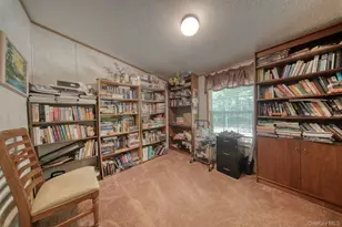 528 Van Tuyl Rd, Barryville, NY 12719 - Photo 16