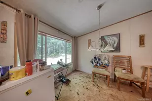 528 Van Tuyl Rd, Barryville, NY 12719 - Photo 10