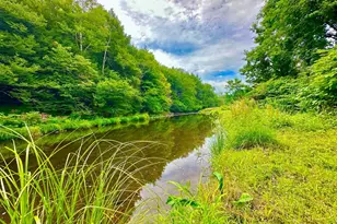 5089 State Route 52, Jeffersonville, NY 12748 - Photo 4