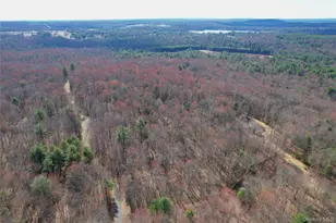 118 Hilltop Rd, Monticello, NY 12701 - Photo 48