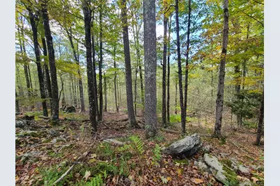 118 Hilltop Road, Monticello, NY 12701 - Photo 14