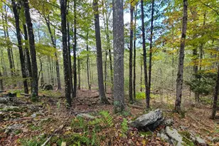 118 Hilltop Rd, Monticello, NY 12701 - Photo 14