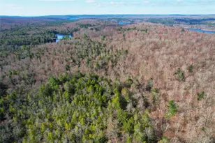 118 Hilltop Rd, Monticello, NY 12701 - Photo 44