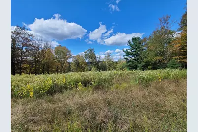 118 Hilltop Road, Monticello, NY 12701 - Photo 20