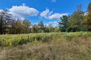 118 Hilltop Rd, Monticello, NY 12701 - Photo 20
