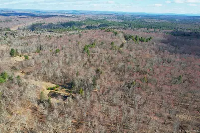 118 Hilltop Road, Monticello, NY 12701 - Photo 50
