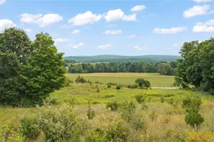 333 Co Rd 9, Ghent, NY 12075 - Photo 16