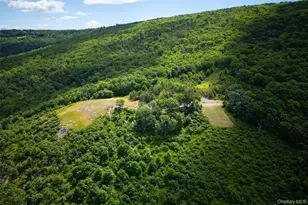 80 Hang Glider Rd, Ellenville, NY 12428 - Photo 10