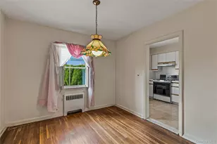 163 Laurel Dr, New Hyde Park, NY 11040 - Photo 12
