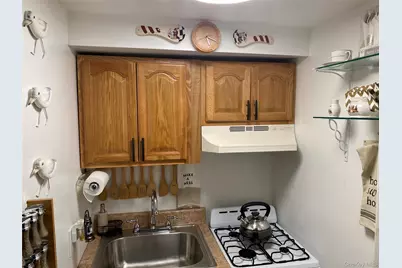1309 E 52nd Street, Brooklyn, NY 11234 - Photo 8