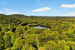 174 Milltown Rd, Holmes, NY 12531 - Photo 2