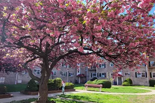 65-30 Grand Central Pkwy, Forest Hills, NY 11375 - Photo 22