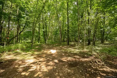 142 Mill Street, Wallkill, NY 12589 - Photo 38
