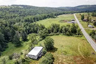 4369 State Route 52, Jeffersonville, NY 12748 - Photo 4