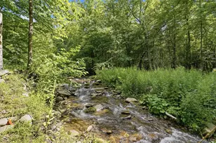 736 Sundown Rd, Sundown, NY 12740 - Photo 4