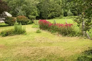 736 Sundown Rd, Sundown, NY 12740 - Photo 6