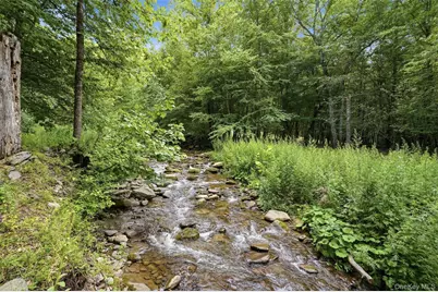 736 Sundown Road, Sundown, NY 12740 - Photo 34