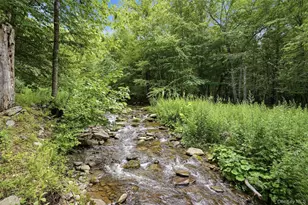 736 Sundown Rd, Sundown, NY 12740 - Photo 34