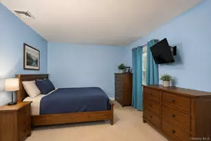 61 Hemlock Ln, Massapequa Park, NY 11762 - Photo 32
